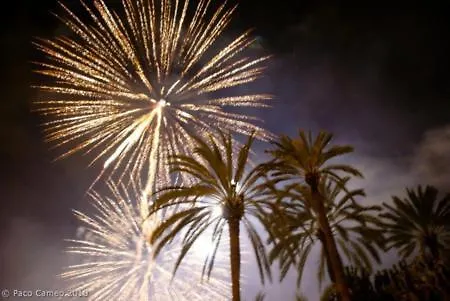 Piso Centro Junto Basilica 埃尔切