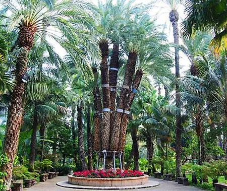 Piso Centro Junto Basilica 公寓 *