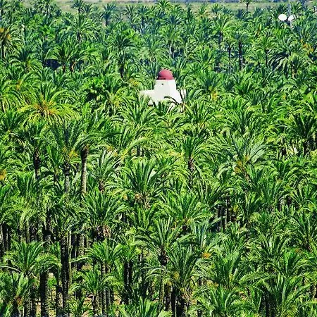 Piso Centro Junto Basilica * 埃尔切